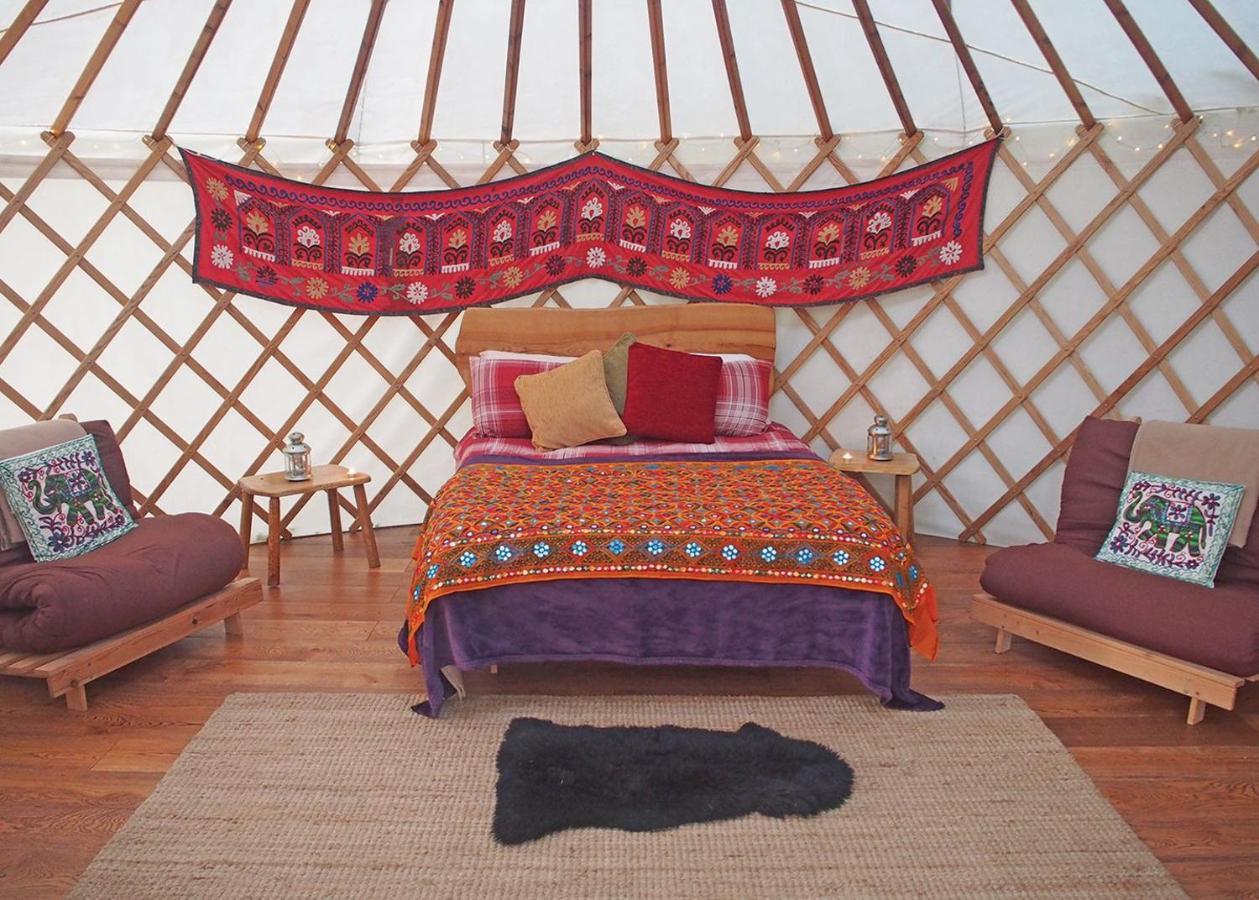 Florence Springs Glamping Gumfreston Esterno foto
