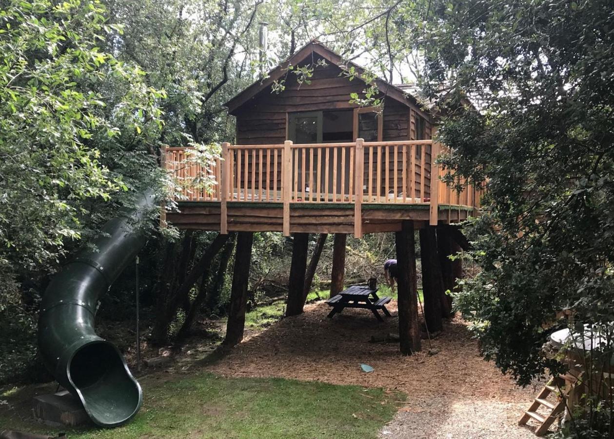 Florence Springs Glamping Gumfreston Esterno foto
